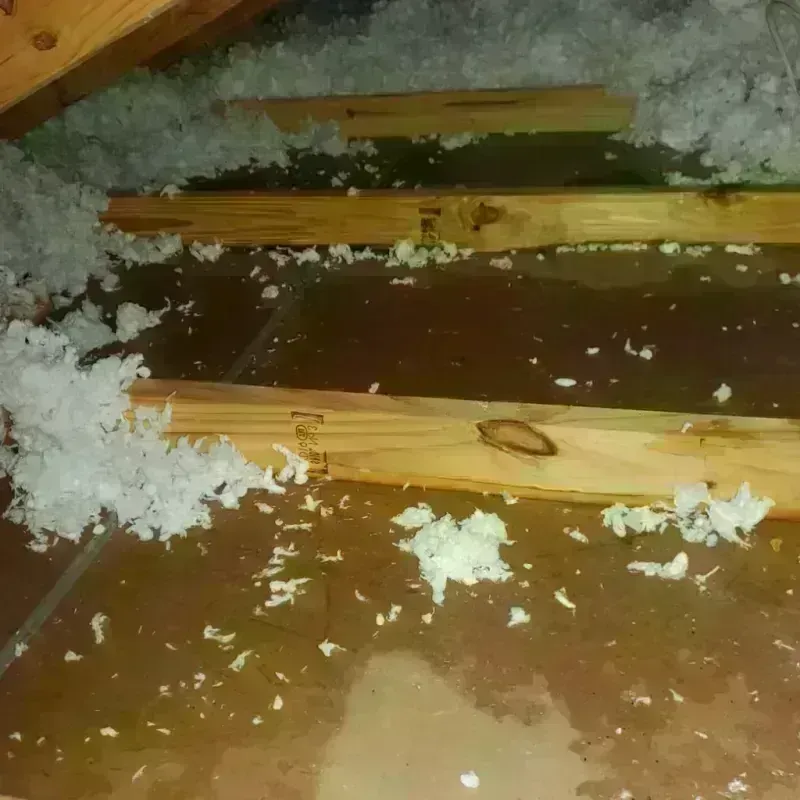 Attic Water Damage in Harper County, KS