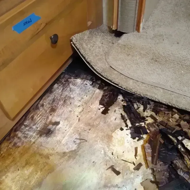 Wood Floor Water Damage in Harper County, KS